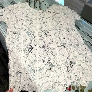 Cato XL Lace Shirt